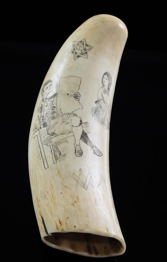 A scrimshaw whales tooth, 5.5in.